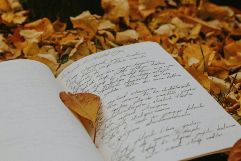 Book with cursive poetic writing on a bed of autumn leaves